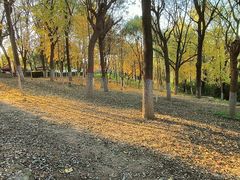 -西安汉城湖景区