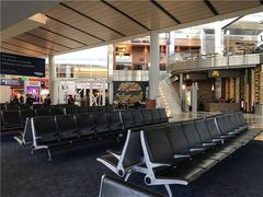 -达拉斯 沃斯堡国际机场