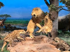 -国家自然博物馆