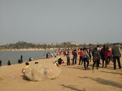 -瑶湖郊野森林公园