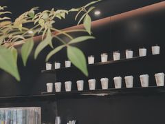 -野鸽子咖啡(中航店)