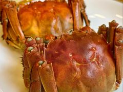 -王宝和酒家(黄浦店)