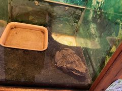 -上海大自然野生昆虫馆