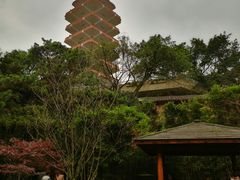 -鹅岭公园瞰胜楼