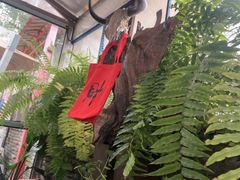 -野蔓果·山野菜(西湖景区·龙井茶田店)