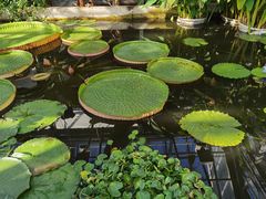 -国家植物园南园