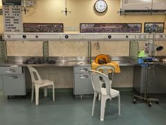 -动物缘宠物医院·骨科·猫科(西二环店)