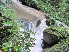-莫里热带雨林景区