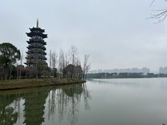 -洋湖国家湿地公园