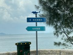 -杨梅坑