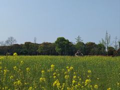 -嘉北郊野公园