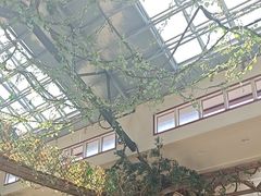 -呀诺达热带雨林