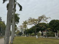 -厦门大学(思明校区)