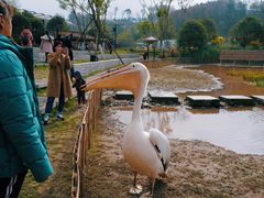 -黄龙溪欢乐田园