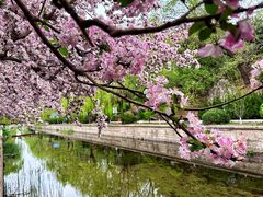 -元大都城垣遗址公园