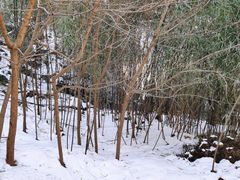 -少华山国家森林公园