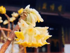 -钱王祠
