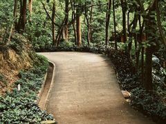 -南岗山公园