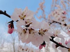 -大瓦窑(地铁站)