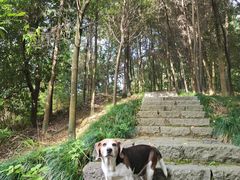 -梦姑塘文化公园