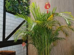 -西堤牛排(合肥之心城店)