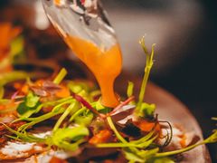 -Hi City·城市之巅