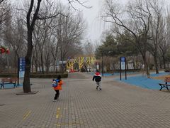 -朝阳公园游乐园