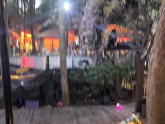 -二荆条·蜀鲜汇城市森林火锅