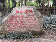 -瑞丽独树成林风景区