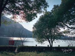 -田园东方蜜桃村的田野营地