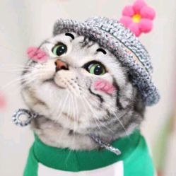 -iplus爱家高端孕妇摄影