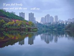 -重庆彩云湖湿地公园