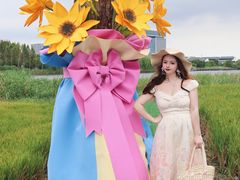 -杭州湾海上花田景区