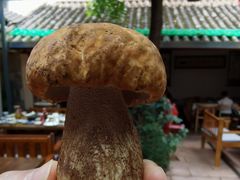 -茶马古道·野生菌清汤黄牛肉(沙溪店)