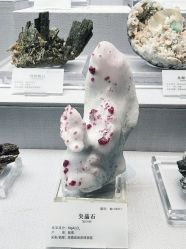 -Oasis Beauty水磨坊科技美肤中心