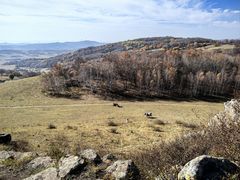 -御道口草原森林风景区