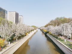 -海棠花溪(元大都城垣遗址公园)