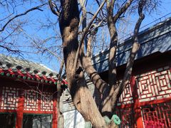 -北京鲁迅博物馆(北京新文化运动纪念馆鲁博馆区)