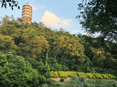 -深圳国际园林花卉博览园