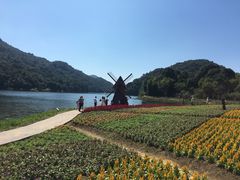 -广州市石门国家森林公园