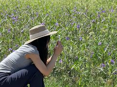 -汉长安城未央宫国家考古遗址公园