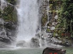 -鼎湖山风景区