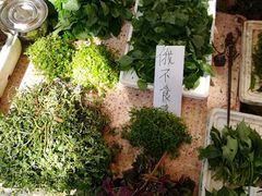 -黄埔古港