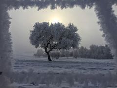 -塞罕坝国家级自然保护区