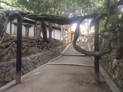 -奈良公园
