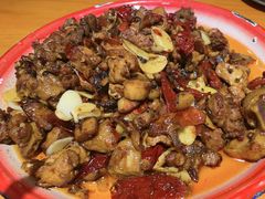 -柴窝堡22号辣子鸡·传承新疆菜