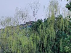 -洋湖国家湿地公园
