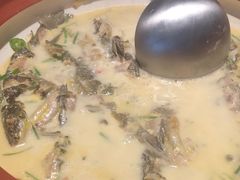 -耕渔小院·湖南鱼鲜(望城店)