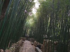 -竹泉村旅游度假区