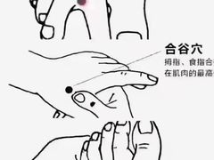 -裕和堂中医推拿艾灸(太古汇臻品店)